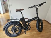 Rawbike 750W