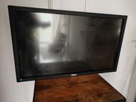 Philips 43" Multipekskärm