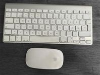 Mac tangentbord och Appel mus