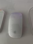 Apple Magic Mouse (ny)