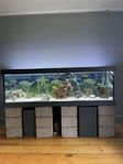 720 liters akvarium 