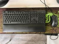 Razer Ornata Chroma, Razer Deathadder Chroma med stor matta