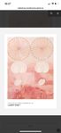 Poster Hilma af Klint 70 x 100