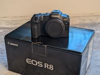 Canon EOS R8 + Canon RF 50mm f/1.8 STM