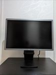 HP EliteDisplay E241i 24" monitor