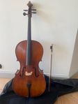 Adino Cello 4/4