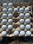 Titleist Pro V1 / V1x