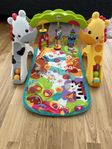 Fisher-Price Newborn-to-Toddler Babygym