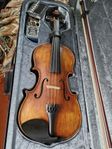 Stentor SR1864 Verona Violin 4/4 med tillbehör