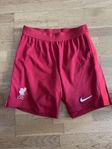 Liverpool FC Nike shorts