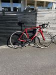 Trek Emonda Alr 5