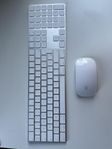 Apple Magic Keyboard, tangentbord och Magic Mouse, datormus