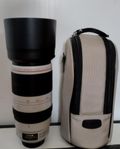 Canon EF 100-400mm f/4.5-5.6L IS II USM