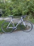 spego road bike 