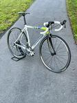 Racer Cannondale CAAD 9-topskick