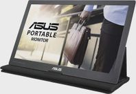 15" tum Bärbar Asus Skärm