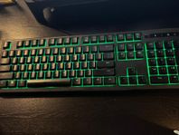 Razer Ornata Chroma Mechanical Keyboard + Wrist Rest