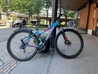 Orbea Mountainbike 