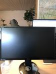 ASUS VG24QE 24" 144Hz datorskärm