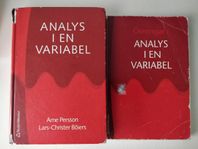 Analys i en variabel 