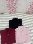 klädpaket pike polo Lacoste, gant 