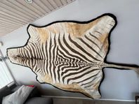 Äkta zebraskinn, zebra skinn