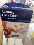 Anatomy Flash Cards Anatomy on the go