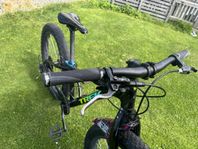 Trek roscoe 24 tum mtb 