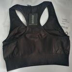 NY exani seamless sports bra Ny sport BH