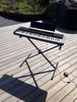 Keyboard Casiotone CT-S400