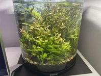 Akvarium , cylinderform från Tetra 