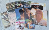 Rod Stewart vinyl / LP