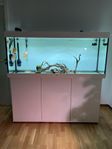 Komplett akvarium 450L + fluval fx6