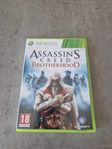 Assassins Creed Brotherhood!