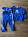 adidas set strl 80