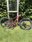 MTB trailcykel Canyon Stoic 3