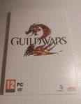 Guildwars PC spel  Fint Skick