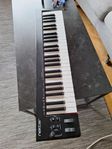 nektar se49 midi keyboard 