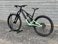 Specialized Stumpjumper Evo Expert 