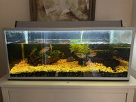 Akvarium 150 liter. 95 x 40 x 40cm