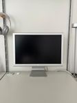 Apple Cinema Display 20”