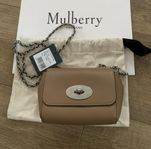 Mulberry lily mini