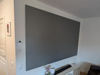 120" Projektorduk