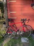 Racer/Landsvägscykel, Lapierre Sensium 3.0, XL/58