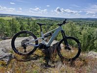 Canyon strive:ON CFR