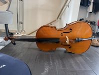 Cello