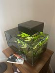 Fluval edge 23L akvarium