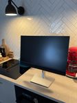 DELL monitor C2422HE (helt NY)