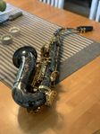 Altsaxofon Axxon XAS-300BG