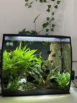 Fluval Flex 57L inkl ALLT 